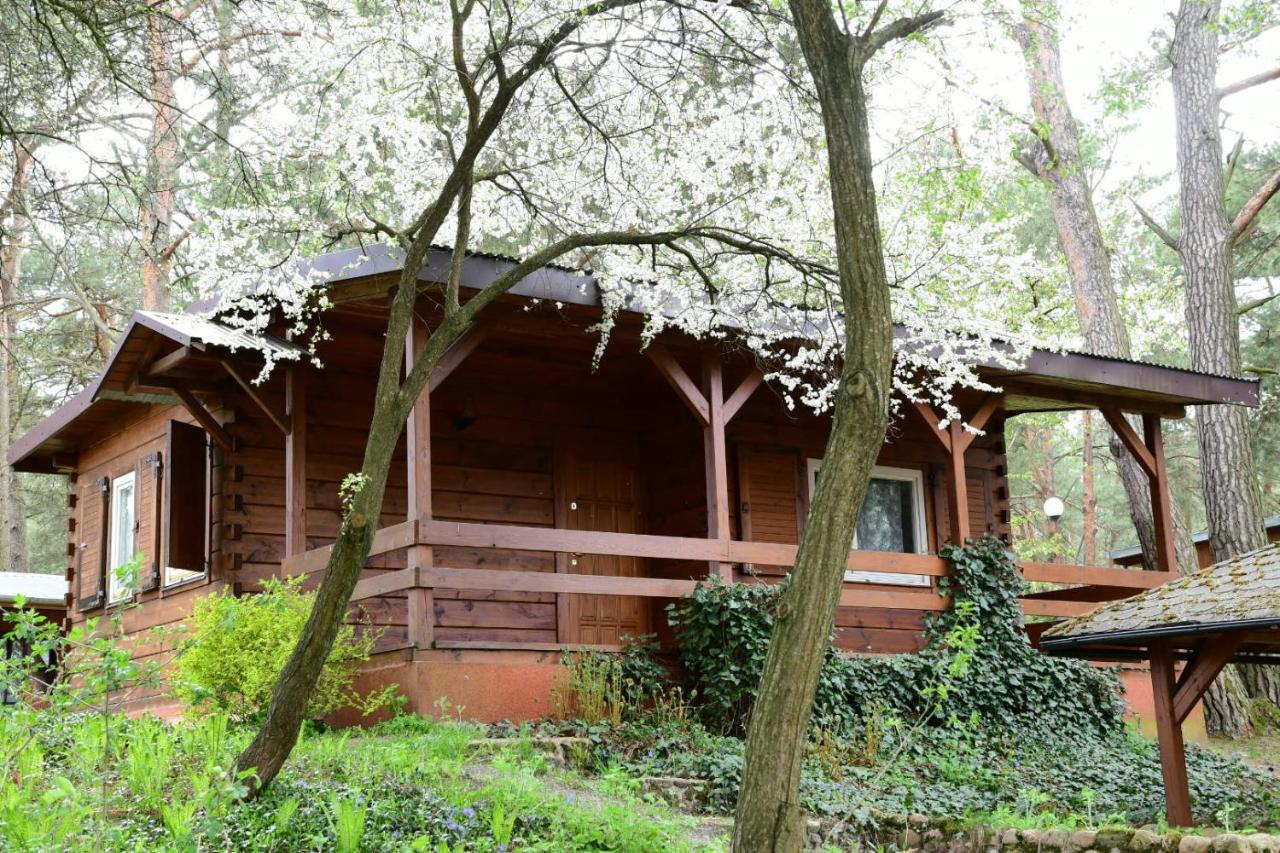 Sosnowy Domek Serpelice Bagian luar foto